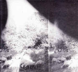 Godspeed You Black Emperor - Asunder, Sweet And Other Distress (LP)