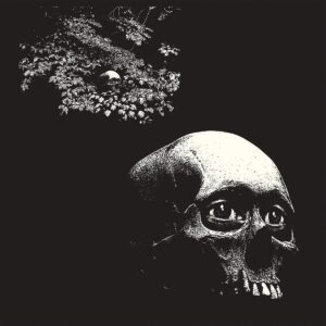 Thee Oh Sees - A Foul Form (LP)