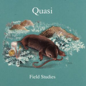 Quasi - Field Studies (2LP, 3-sided)