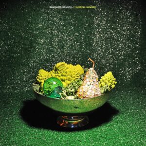 Swarming Branch - Surreal Number (LP)