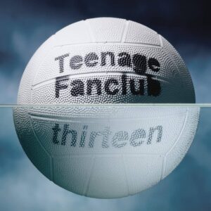 Teenage Fanclub - Thirteen (LP)