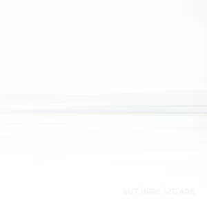 Foo Fighters - But Here We Are (LP)