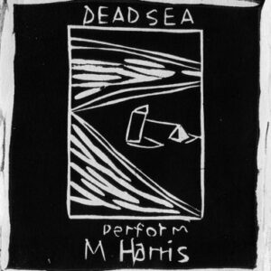 The Dead C - The Dead C Perform M. Harris (LP)
