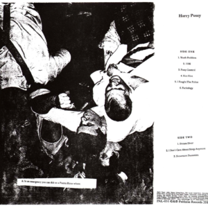 Harry Pussy - S/T (LP)