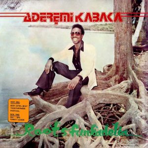 Remi Kabaka - Roots Funkadelia (LP)