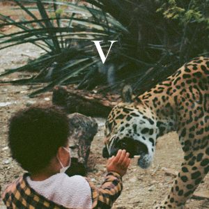 Unknown Mortal Orchestra - V (2LP)