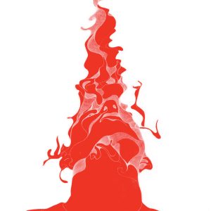 Vibracathedral Orchestra - The Secret Base (LP)