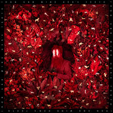 Iron And Wine - Hen's Teeth (LP)